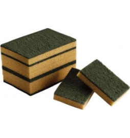 Eponges face abrasive verte lot de 10